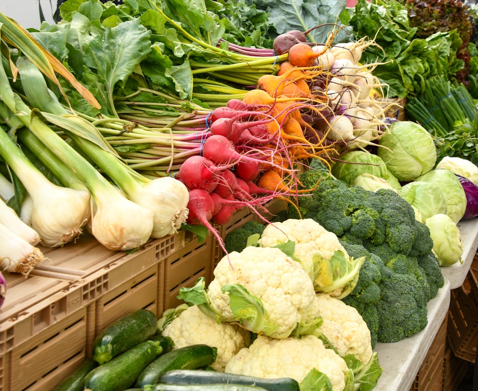 Digestive wellness nutrition guide